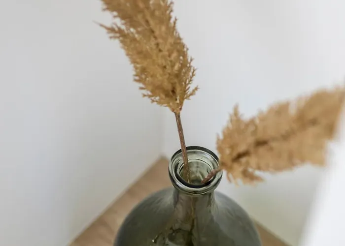 Esperia * 奥帕提亚